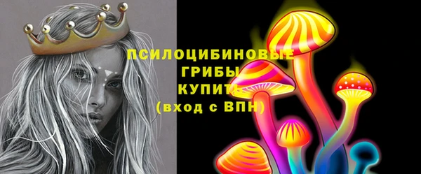 тгк Абаза