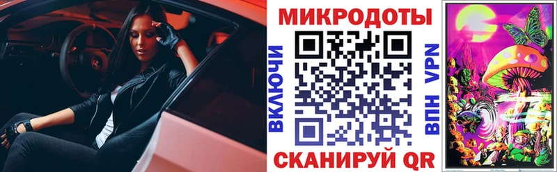 mega ссылки сайты даркнета формула Галлюциногенные грибы мухоморы Ивангород